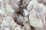 Pineapple Quartz Crystal Cluster - Madagascar #69746-3